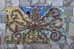 315-5441 Pacific Beach - Octopus